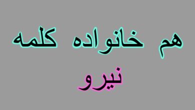 هم خانواده کلمه نیرو