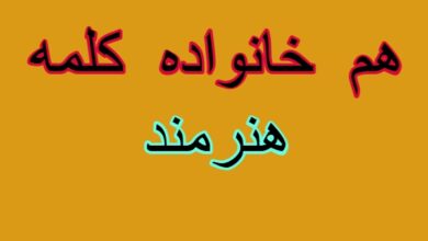 هم خانواده کلمه هنرمند