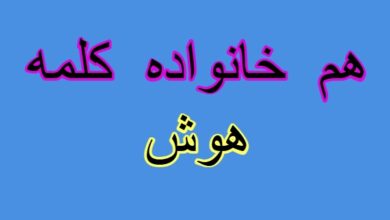 هم خانواده کلمه هوش