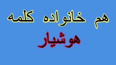 هم خانواده کلمه هوشیار