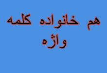 هم خانواده کلمه واژه