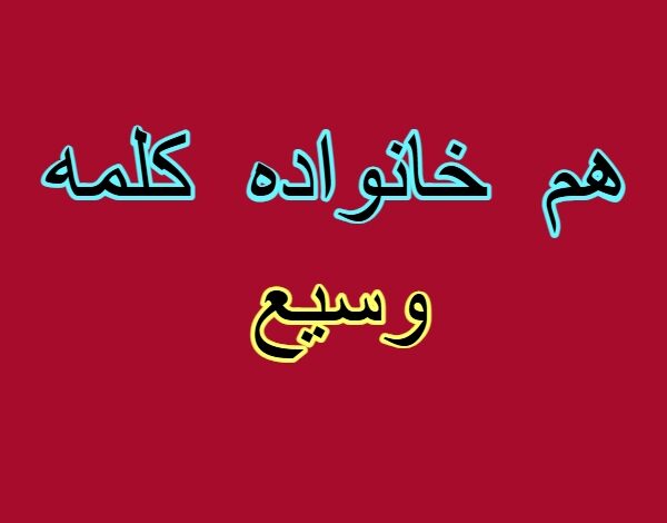 هم خانواده کلمه وسیع