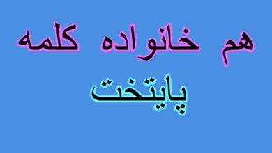 هم خانواده کلمه پایتخت