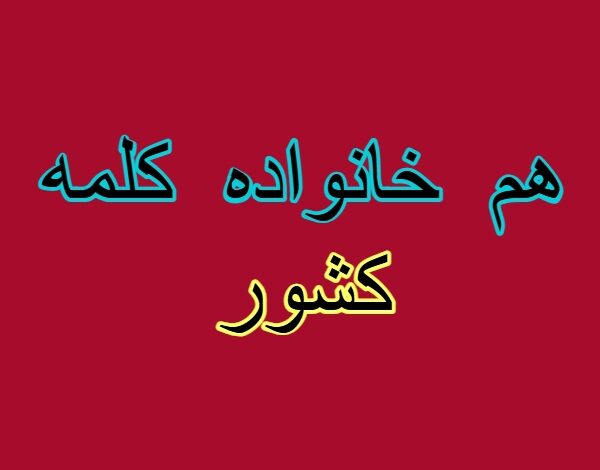 هم خانواده کلمه کشور