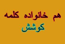 هم خانواده کلمه کوشش