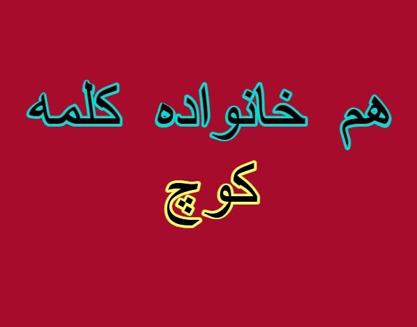 هم خانواده کلمه کوچ