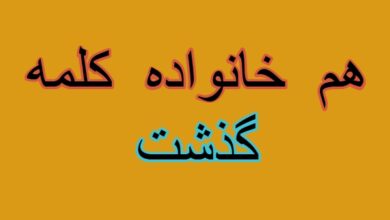 هم خانواده کلمه گذشت