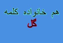 هم خانواده کلمه گل