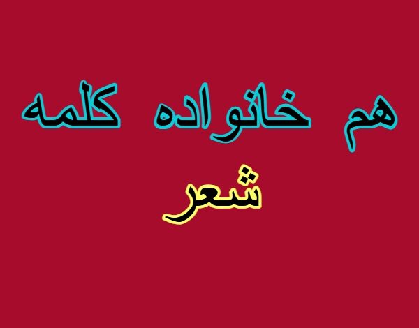 هم خانواده کلمه شعر