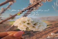 متن آروزی خوب برای دیگران