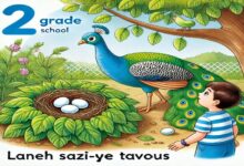 تحقیق در مورد لانه سازی طاووس کلاس دوم