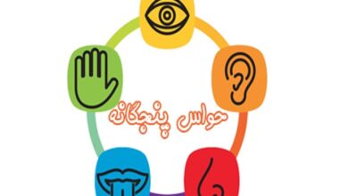 تحقیق در مورد حواس پنجگانه کلاس هفتم
