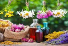 تحقیق در مورد گیاهان دارویی کلاس هفتم