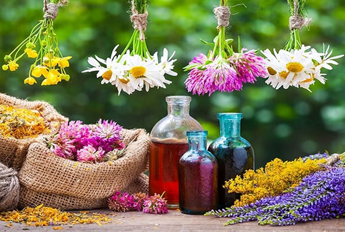 تحقیق در مورد گیاهان دارویی کلاس هفتم
