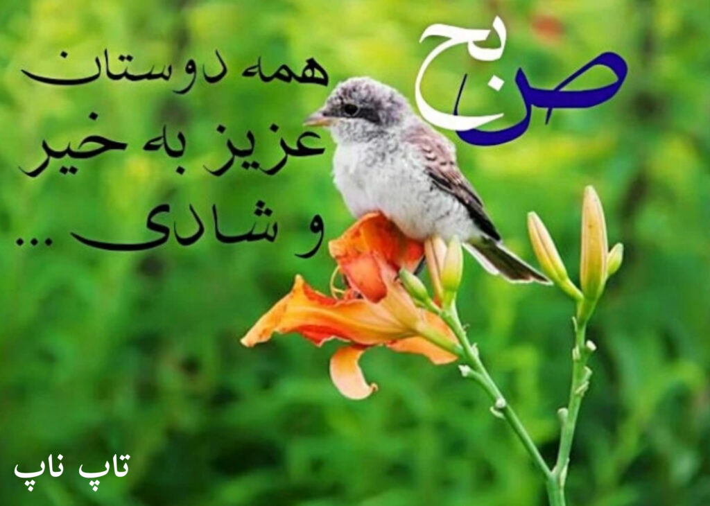 صبح بخیر رسمی 