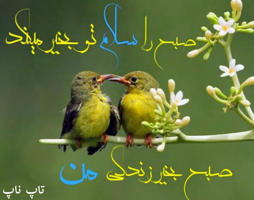 صبح بخیر زندگی من