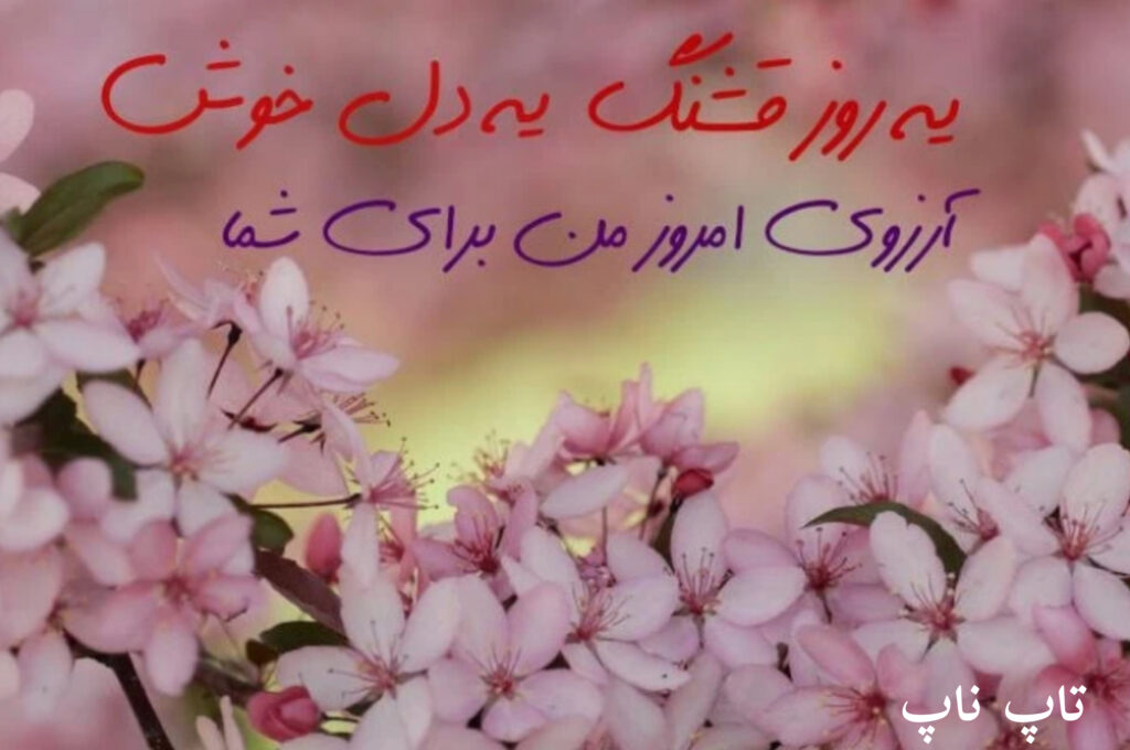 صبح بخیر ساده و رسمی