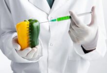 تحقیق در مورد اسیدهای خوراکی و صنعتی