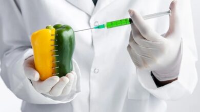 تحقیق در مورد اسیدهای خوراکی و صنعتی
