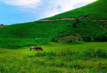 تحقیق در مورد دشت‌ ها و علل پیدایش آن‌ ها