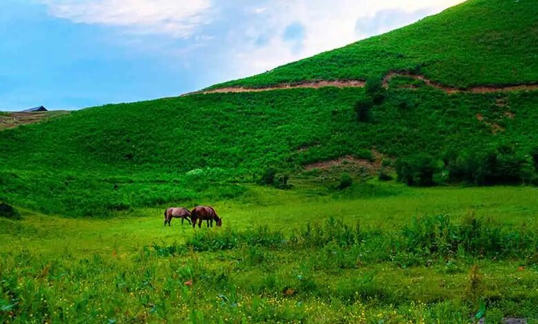 تحقیق در مورد دشت‌ ها و علل پیدایش آن‌ ها