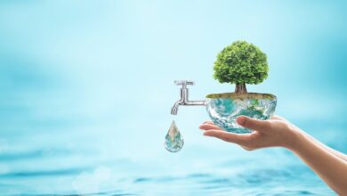 تحقیق در مورد روش صحیح مصرف از نظر اسلام