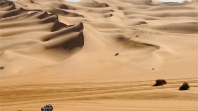 تحقیق درباره بیابان و علل ایجاد شدن آن