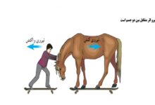 تحقیق درباره نیروی کنش و واکنش با ذکر مثال