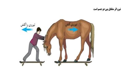 تحقیق درباره نیروی کنش و واکنش با ذکر مثال