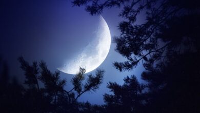تحقیق کنید چرا ماه شب ها در آسمان دیده میشود