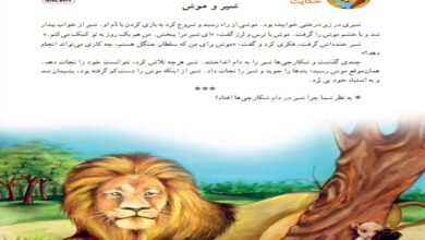 معنی کلمات حکایت شیر و موش کلاس دوم