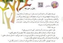 معنی کلمات درس بلبل و مورچه کلاس دوم