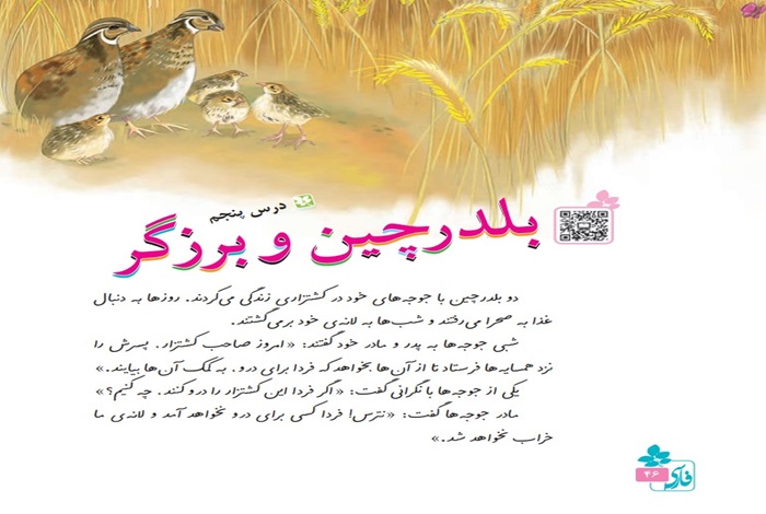 معنی کلمات درس بلدرچین و برزگر فارسی سوم + هم خانواده و مخالف