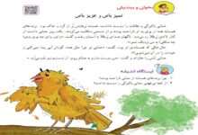معنی کلمات درس تمیز باش عزیز باش کلاس دوم