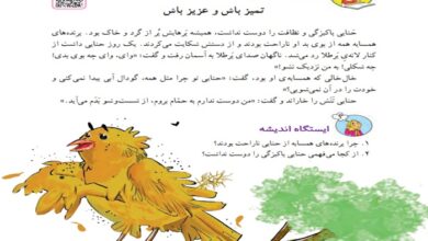 معنی کلمات درس تمیز باش عزیز باش کلاس دوم