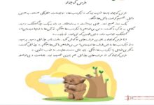 معنی کلمات درس خرس کوچولو کلاس دوم دبستان