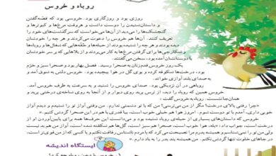 معنی کلمات درس روباه و خروس دوم ابتدایی
