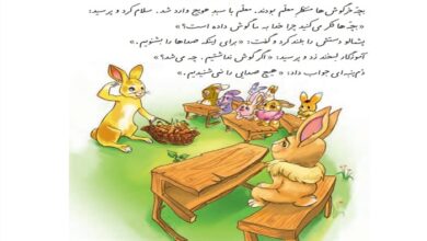 معنی کلمات درس مدرسه خرگوش ها کلاس دوم دبستان