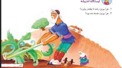 معنی کلمات درس چغندر پر برکت فارسی دوم