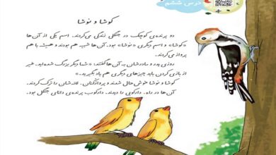 معنی کلمات درس کوشا و نوشا کلاس دوم