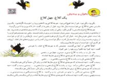 معنی کلمات درس یک کلاغ چهل کلاغ دوم دبستان