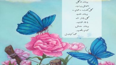 معنی کلمات شعر احوال پرسی کلاس دوم