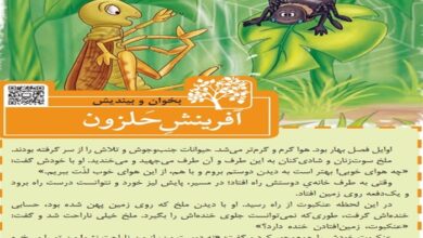 جواب ایستگاه اندیشه درس آفرینش حلزون فارسی سوم صفحه ۱۲۴