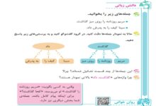 جواب دانش زبانی درس شانزدهم فارسی چهارم