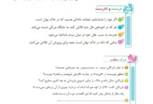 جواب درست و نادرست و درک مطلب درس چهارم فارسی پنجم