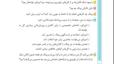 جواب درک و دریافت صفحه ۴۵ درس گلدان خالی فارسی پنجم