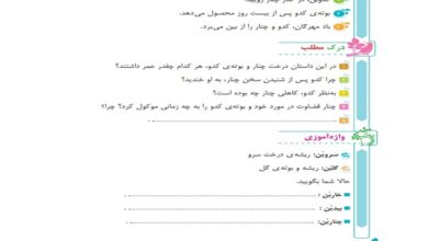 جواب سوالات درک مطلب و درست و نادرست درس پنجم فارسی پنجم