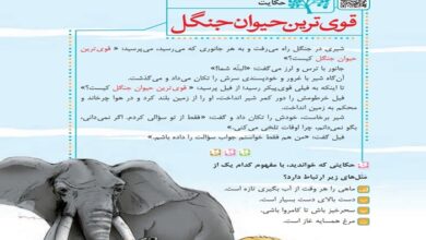جواب و معنی کلمات حکایت قوی ترین حیوان جنگل کلاس چهارم