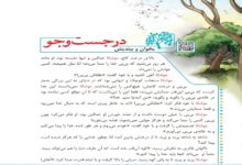 خلاصه و معنی بخوان و بیندیش در جست و جو کلاس چهارم + کلمات سخت