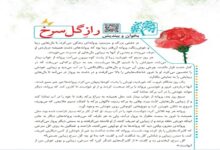 خلاصه و نتیجه داستان راز گل سرخ فارسی کلاس پنجم صفحه 21 + معنی درس